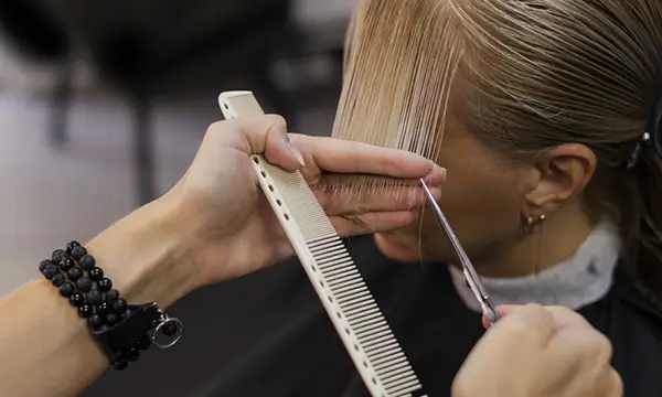 CORTE